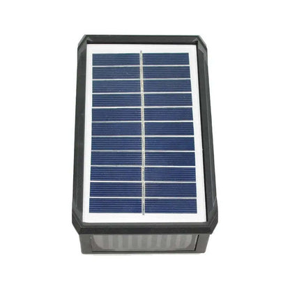 Colorful Ambience Anywhere